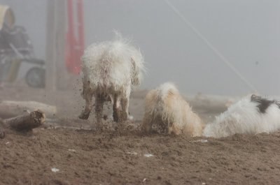 Mar27_07_817.JPG