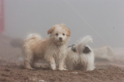 Mar27_07_820.JPG