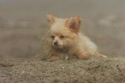 Mar27_07_830.JPG