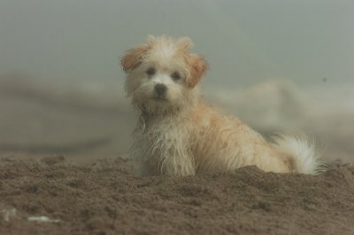 Mar27_07_832.JPG