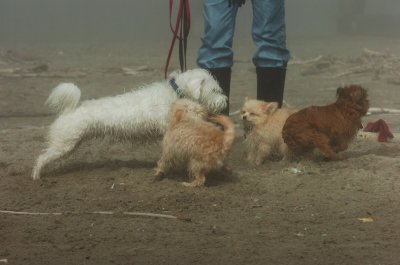 Mar27_07_840.JPG