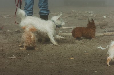 Mar27_07_841.JPG