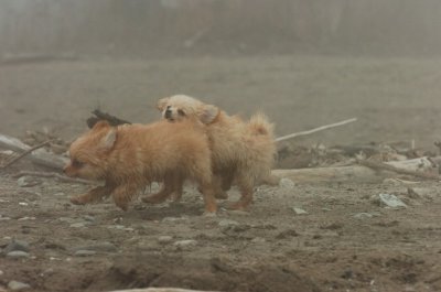 Mar27_07_142.JPG