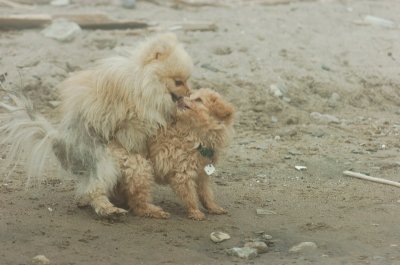 Mar27_07_194.JPG
