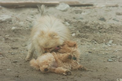Mar27_07_197.JPG