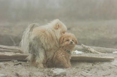 Mar27_07_210.JPG