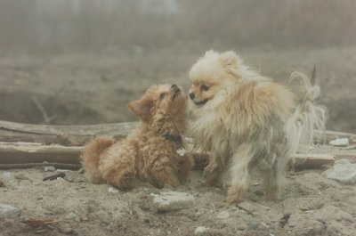 Mar27_07_211.JPG