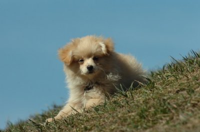 Mar29_07_634.JPG