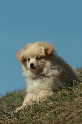 Mar29_07_640.JPG