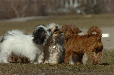 Mar29_07_377.JPG