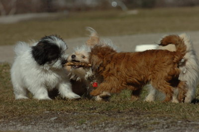 Mar29_07_384.JPG