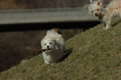 Mar29_07_400.JPG