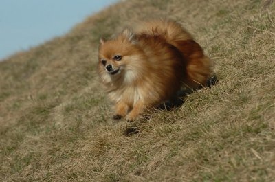 Mar29_07_230.JPG