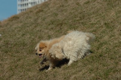 Mar29_07_237.JPG