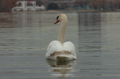 Mar30_07_715.JPG