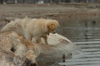 Mar30_07_725.JPG