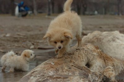 Mar30_07_729.JPG