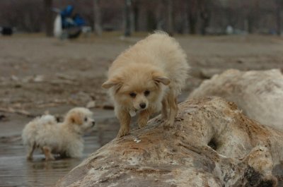 Mar30_07_731.JPG
