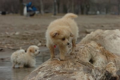 Mar30_07_732.JPG