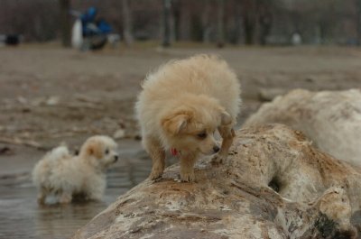 Mar30_07_733.JPG