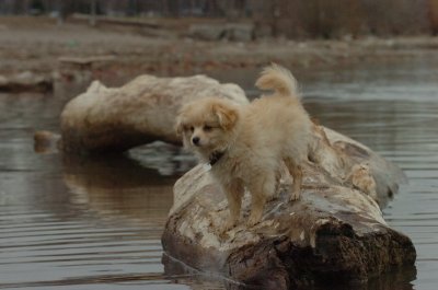 Mar30_07_738.JPG