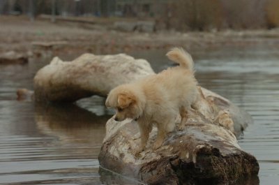 Mar30_07_739.JPG