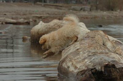 Mar30_07_740.JPG