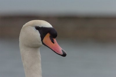 Mar30_07_748.JPG