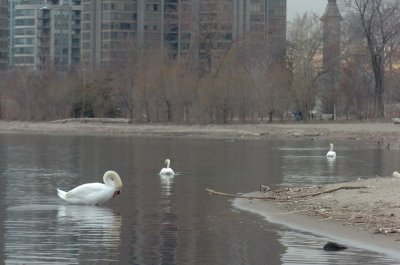 Mar30_07_767.JPG