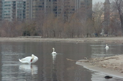 Mar30_07_768.JPG