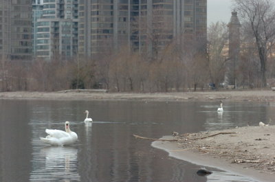 Mar30_07_769.JPG