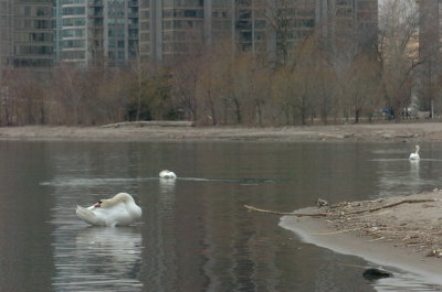 Mar30_07_770.JPG