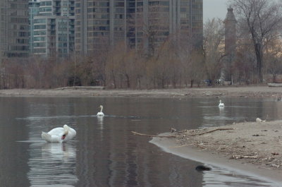 Mar30_07_771.JPG