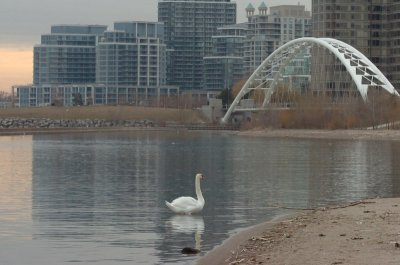 Mar30_07_777.JPG