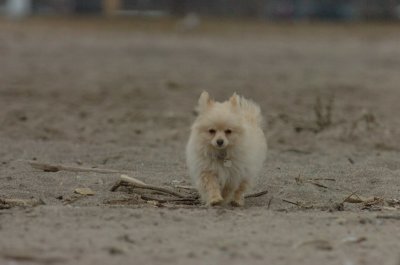 Mar30_07_800.JPG