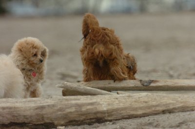 Mar30_07_808.JPG