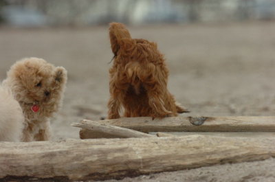 Mar30_07_809.JPG
