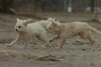 Mar30_07_814.JPG