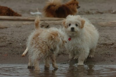 Mar30_07_830.JPG