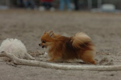 Mar30_07_832.JPG