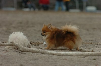 Mar30_07_833.JPG