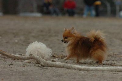 Mar30_07_834.JPG