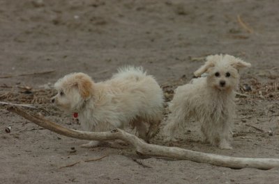 Mar30_07_836.JPG