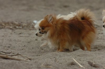 Mar30_07_838.JPG
