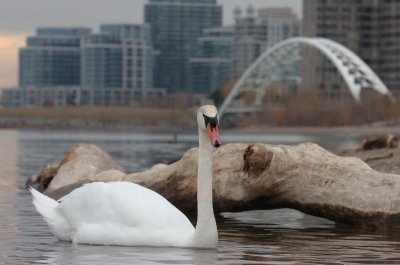 Mar30_07_635.JPG