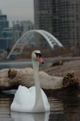Mar30_07_642.JPG