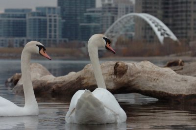 Mar30_07_647.JPG