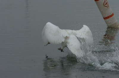 Mar30_07_667.JPG