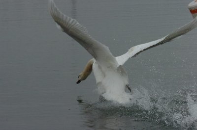 Mar30_07_668.JPG