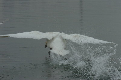 Mar30_07_671.JPG